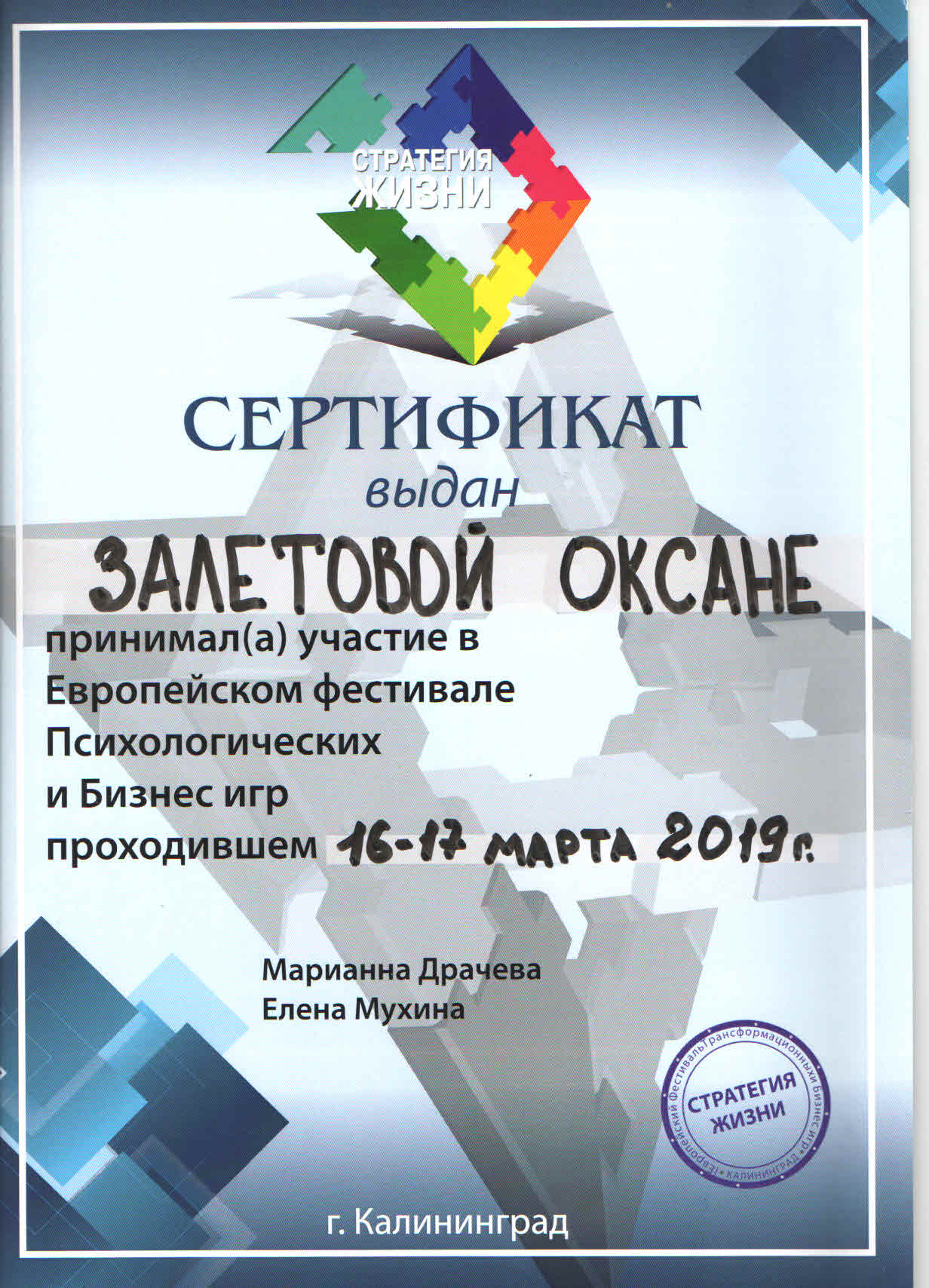 Стратегия Фестиваль
